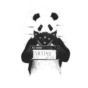 Meet your Posher, Devon